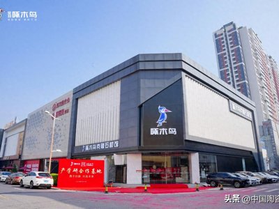 啄木鸟瓷砖：以创始品牌之姿，定义超硬防滑瓷砖新标杆