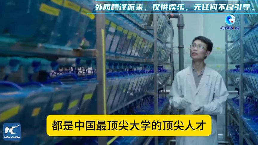 中国在人才不断流失和美国的差距却越来越小？ #外国人看中国  #