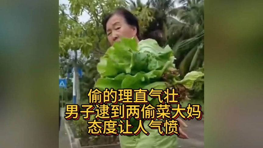 偷的理直气壮:男子逮到两偷菜大妈,态度让人气愤