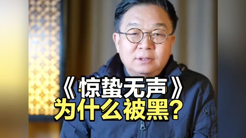 《惊蛰无声》为什么被黑?听听任教授怎么说的