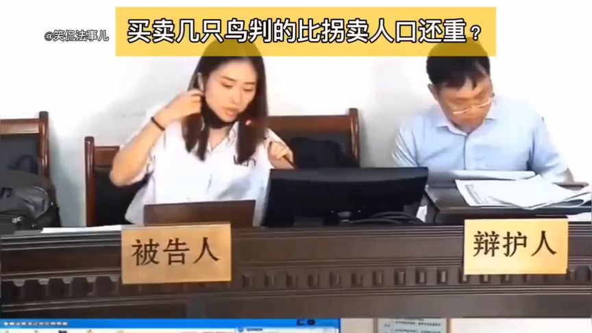 买卖几只鸟在自首时情况下，还要判5年！律师：比拐卖人口还严重