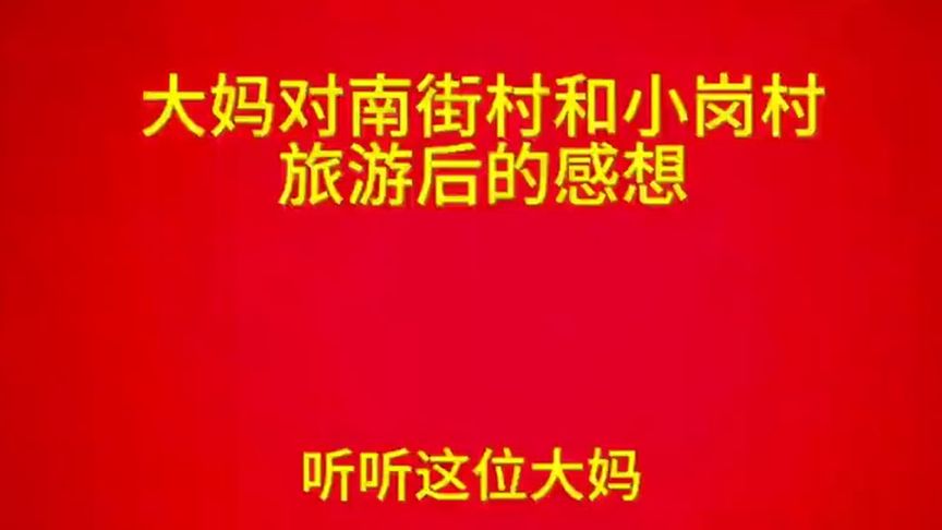 大妈对南街村和小岗村旅游观光后的真实感受！ (1) (1)