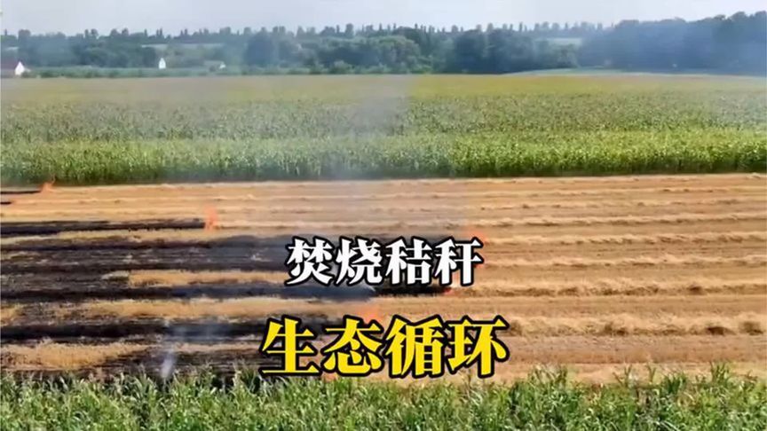 关于焚烧秸秆,最近北京师范大学做了一项研究,来看看