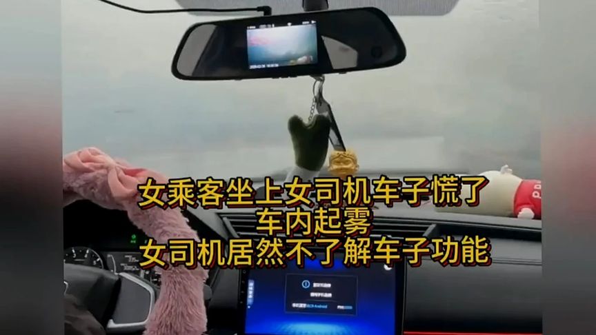 女乘客坐上女司机车子慌了：车内起雾，女司机居然不了解车子功能