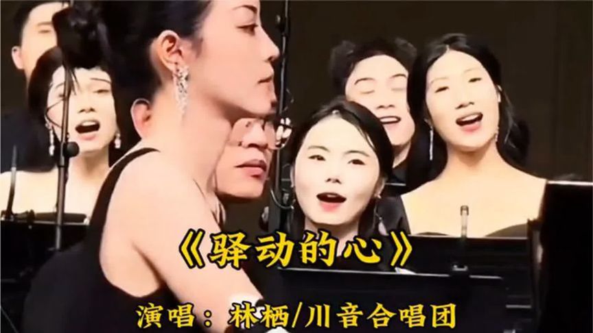 经典永不褪色！林栖_川音合唱团《驿动的心》太有岁月的味道 (3)