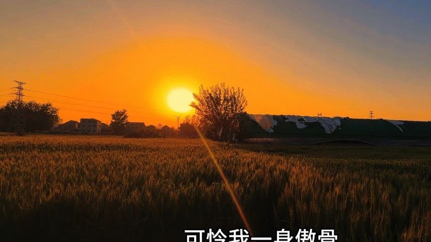 我形容不出来我现在有多难受,我只知道我好累