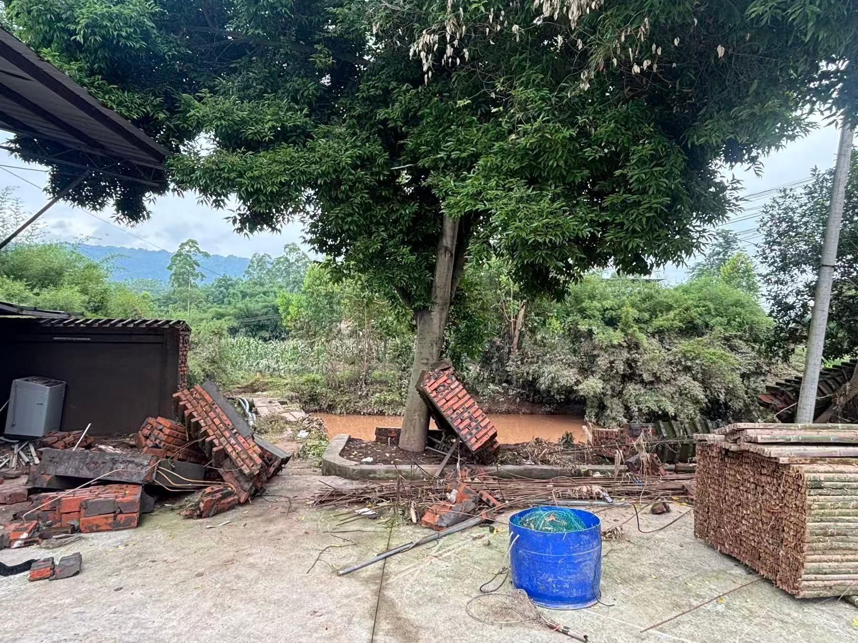 重庆暴雨细节：男子救丈母娘被洪水冲走，厂房老板带两条狗游泳逃生-图4