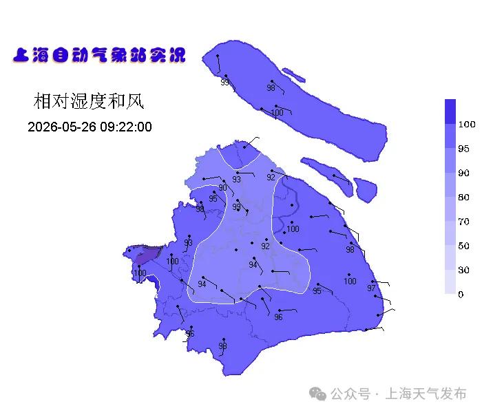 比亚马逊雨林更湿更热！专家：今年天气系统出现异常；好消息来了-图3