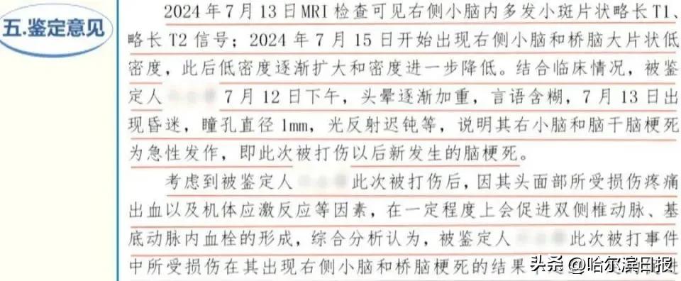 两人打架，一人被拖把杆打伤一个月后去世，北京市第二中级人民法院：打人者被判刑10年-图4