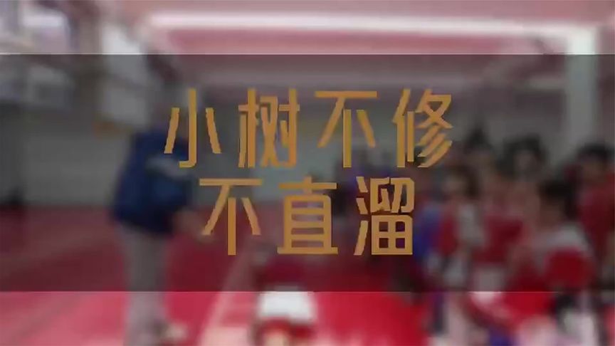 小树不修不成材，小孩不管不成器！练习搏击的目的是内在强大