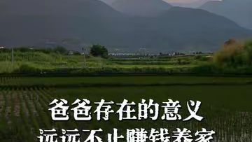 父亲存在的意义远远不止赚钱养家…请珍惜每一位父亲#情感#情感共鸣#内容过于真实 #父亲