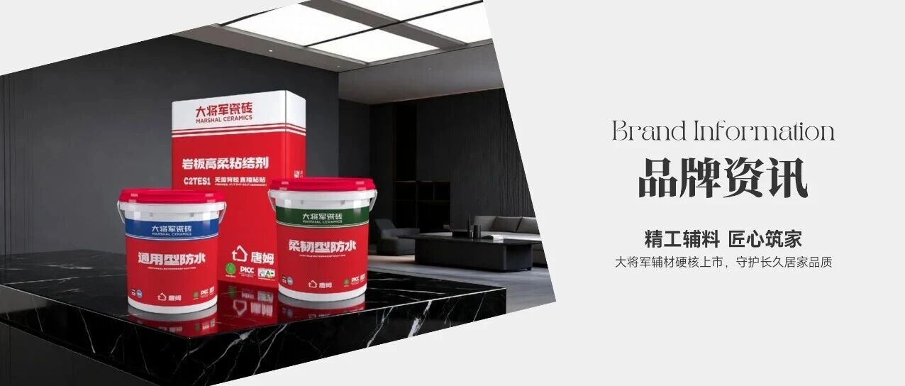 下一篇：精工辅料 匠心筑家 | 大将军瓷砖辅材硬核上市，守护长久居家品质